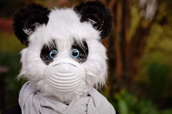 Rollers Casino Supporto